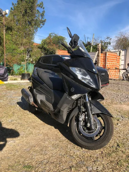Benelli Zafferano 2020