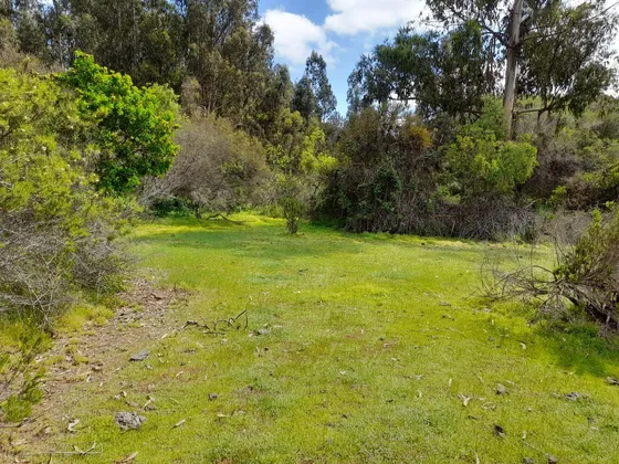Parcela En Venta En Concon
