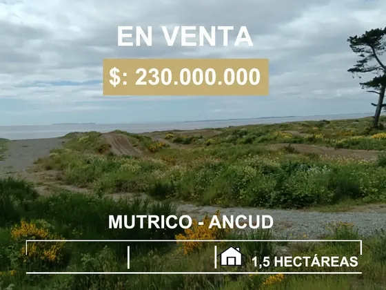 En Venta Espectacular Terreno De 1,5 Héc Mutrico . Ancud.