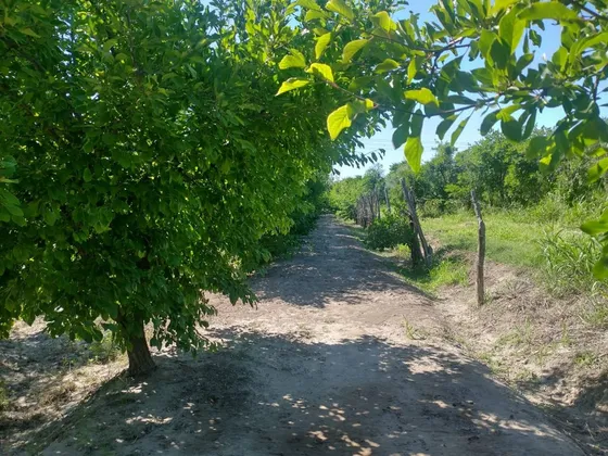 Venta Excelente Oportunidad Quinta En Palmira.