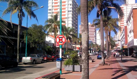 Venta Locales En Gorlero, Galeria Pan De Azucar A La Calle