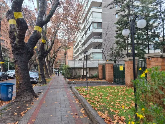 Arriendo 1 Dorm Dario U/ Pedro De Valdivia Metro Est Y Bga