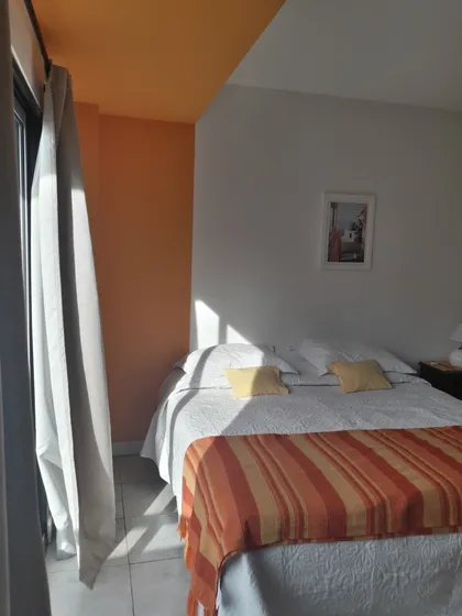 Departamento Alquiler Temporario Monoambiente, Muy Luminoso Dueño Directo, Alquiler Por Día, Mínimo 2 Días, Cerca Hospitales Milstein, Garrahan, Fundacion Favaloro, Cerca De Subte H Y  E. 