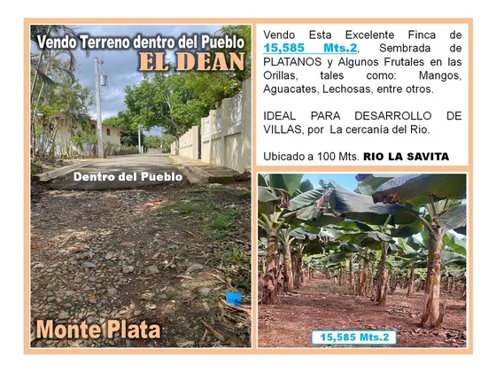 Vendo 15,585 Mts.2 Sembrado De Platanos Y Dentro Del Pueblo Del Dean, Monte Plata, Precio Rebajado