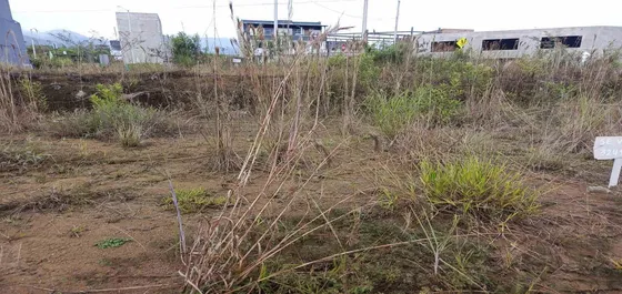 Lote En Venta En Dosquebradas/risaralda (279061253).