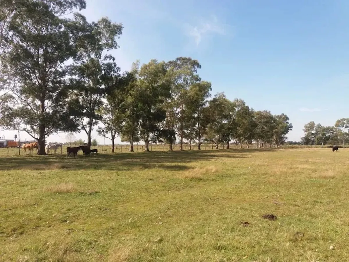 Lot Sale at Don Octavio Estates, Florencio Varela