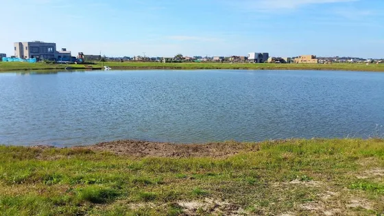 Venta Terreno / Lote San Sebastián