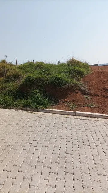 Oportunidade, Terreno Em Guarulhos 