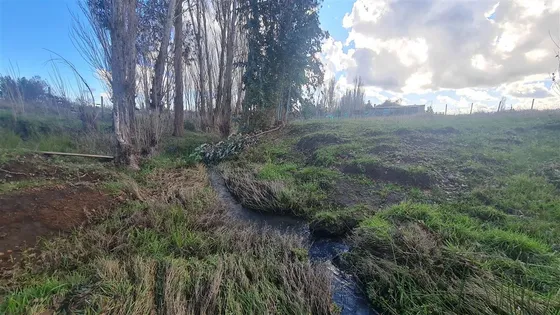 Hermoso Sitio En Venta En Mulchén