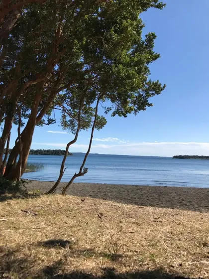 Parcela Vista Lago Rupanco, Puyehue - El Taique