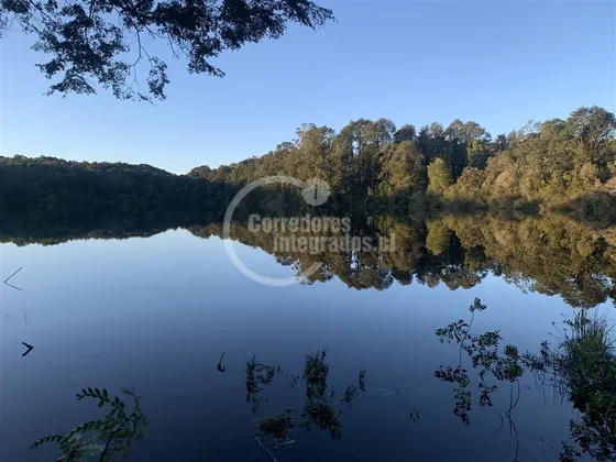 Sitio Para Subdivisión En Venta En Puerto Octay