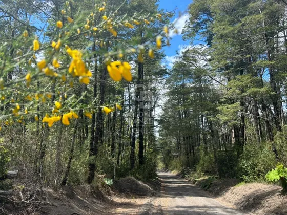 A Los Pies Del Volcán Osorno | Cruce Hacia Ralún