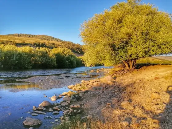 Se Vende Hermosa Parcela En Liucura - Lonquimay