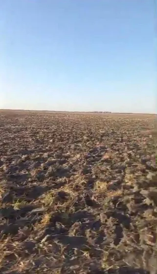 Venta De Campo Agricola 223 Hectareas