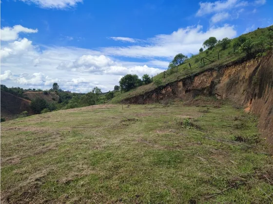 Vendo Lote Carmen De Viboral, Alto Grande 4.450 M2. L4