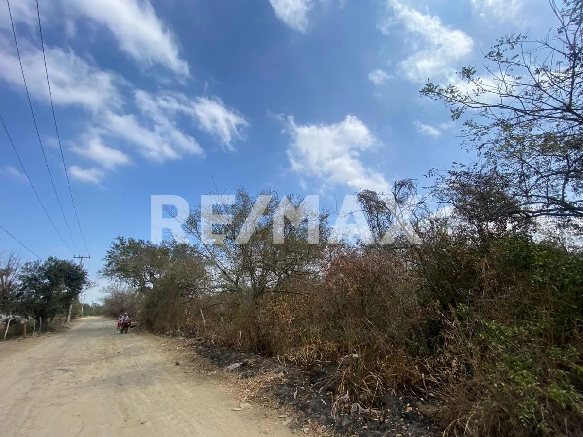 Excelente Terreno En Renta 