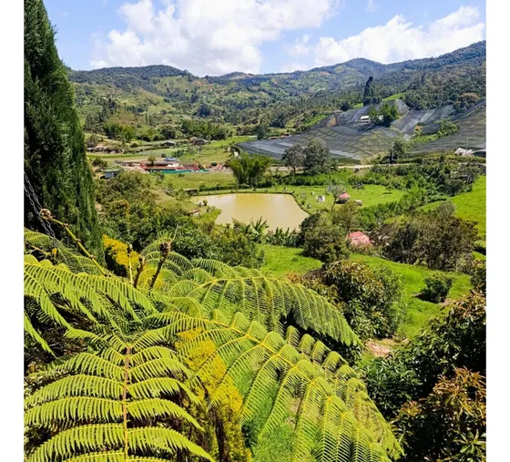 Increíble Finca En El Campo Vía El Carmen De Viboral 