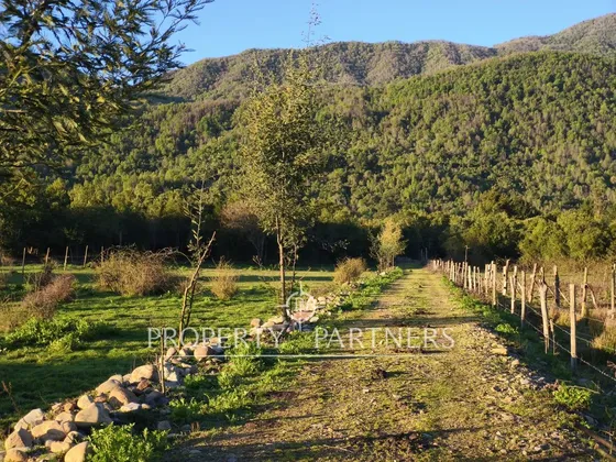 Campo De 10 Hectáreas En Rabones