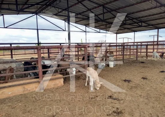  El Tigre Anzoategui Finca De 730 Hectareas Aproximadamente, Inscrita En El Inte Y Asignada