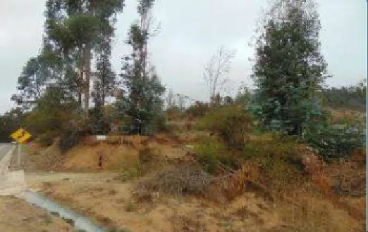 Agrícola En Venta En Quilpué