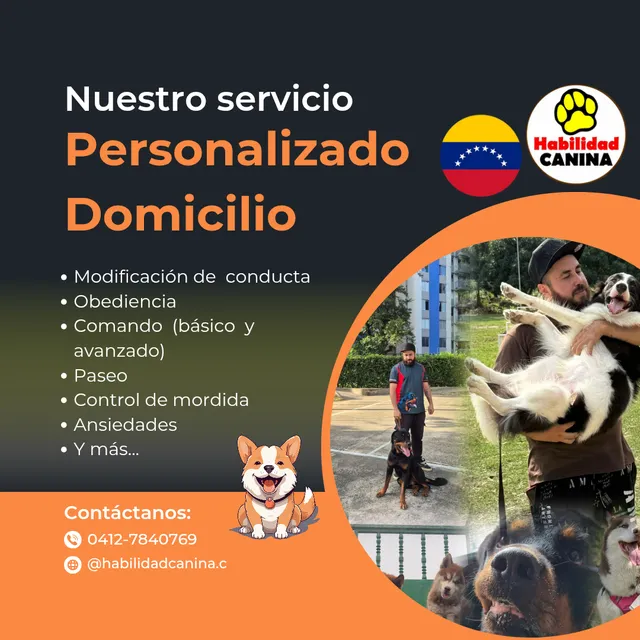 Entrenador Canino 