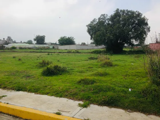 Terreno En Venta Texcoco Todos Los Servicios Escriturado