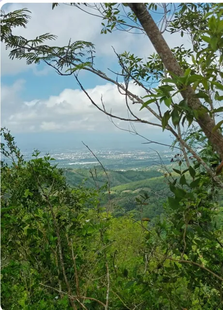  Terreno 12,029 M2 En Ceboruco Tamboril Santiago