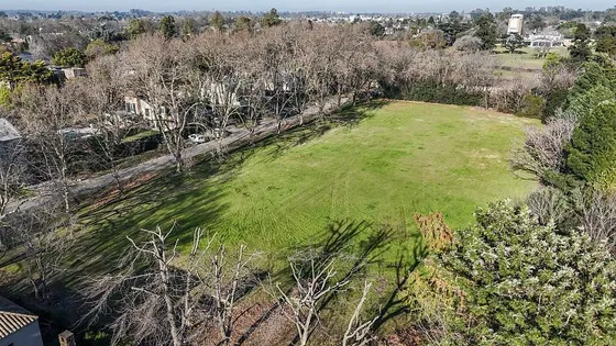 Excelente Terreno Arbolado En Venta.