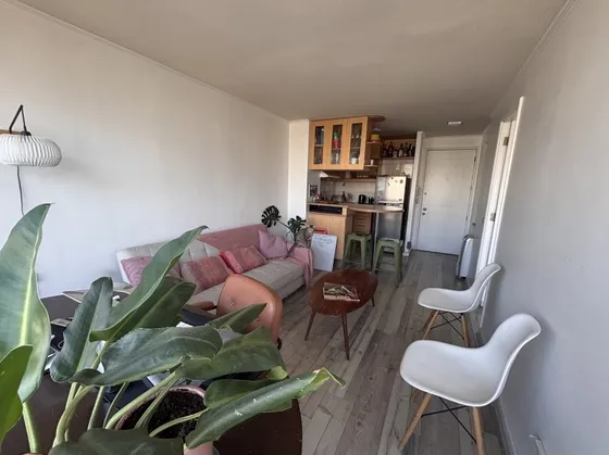Se Arrienda Departamento En Santiago 