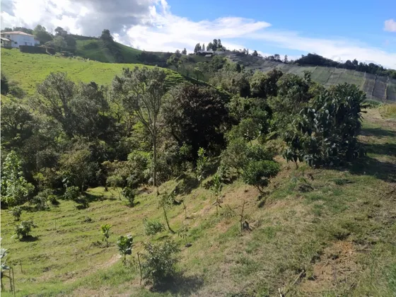 Lote En La Vereda Vallejuelo En El Carmen De Viboral