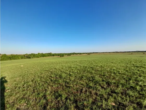 Venta Finca En Puerto Lopez De 70 Hectareas
