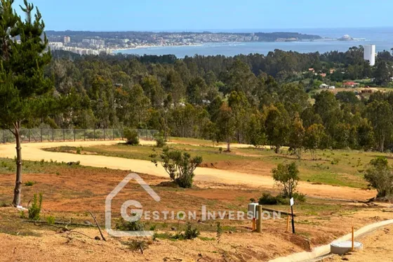 Venta Terreno Algarrobo Rol Propio 2000 M2