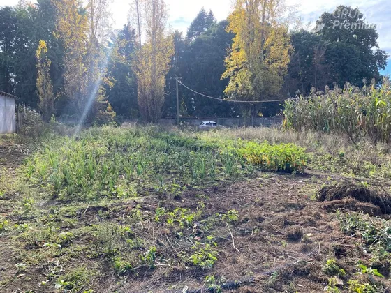 2 Terrenos Construccion En Venta En Longaví