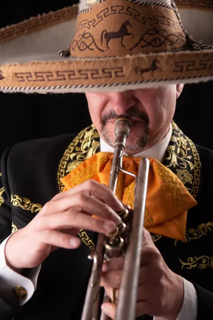 Mariachis En Buenos Aires/serenatas/mariachi
