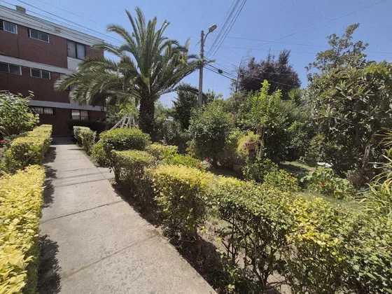 Departamento En Venta En Amapolas Ñuñoa