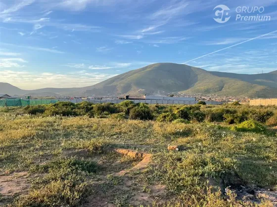 Hermosa Parcela En Venta En Coquimbo (pan De Azucar)