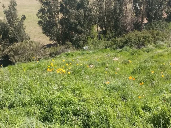 Parcela En Venta En Casablanca Sector De Viñas R F850