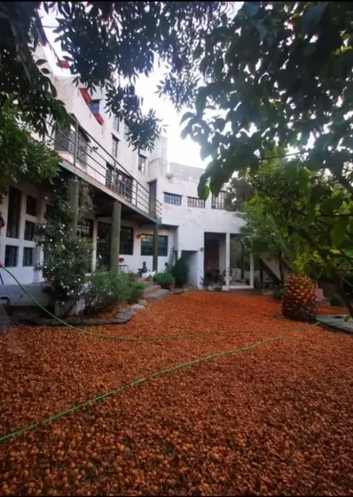 3 Casas Comunidad Ecológica Peñalolén