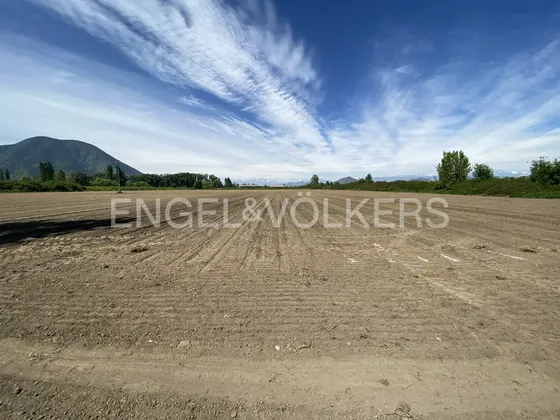 Gran Predio En Venta En Doñihue