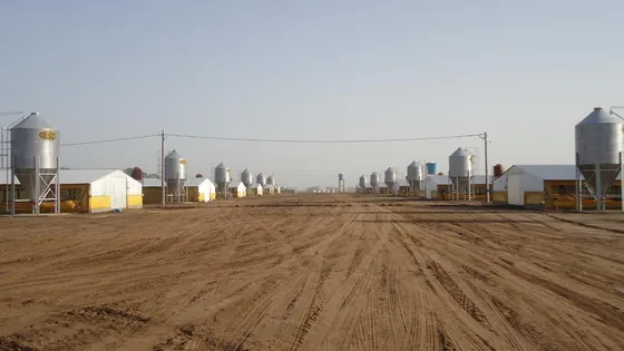 Campo En Venta - 250.000mts2 - Granja La Carmencita