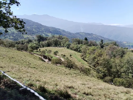 Finca De 14 Ha Lista Para Operar Frente La Chorrera Vía Jají