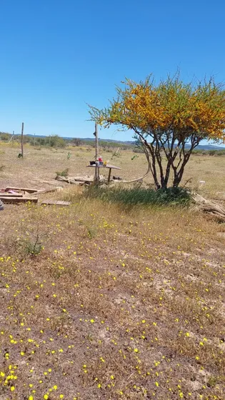 Parcela De 5000 M2 En Viñas Del Valle, Mallermo. Santa Cruz.
