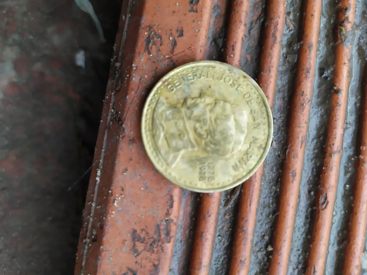 1978 San Martin Mule Coin, 100 Argentine Pesos