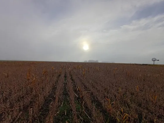 Venta Chacra 7 Hectareas.