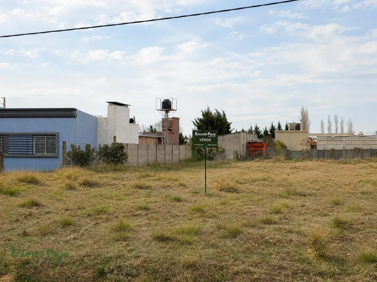 Land for Sale in Trenque Lauquen