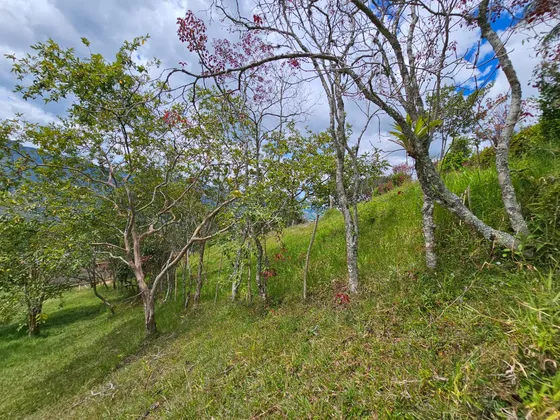 Venta De Lote En Girardota Vereda Manga Arriba Parte Alta