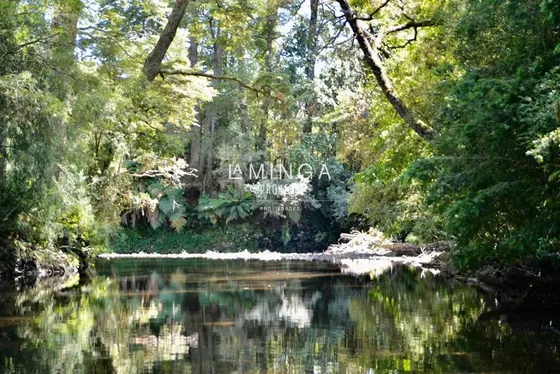 Parcela En Venta En Panguipulli
