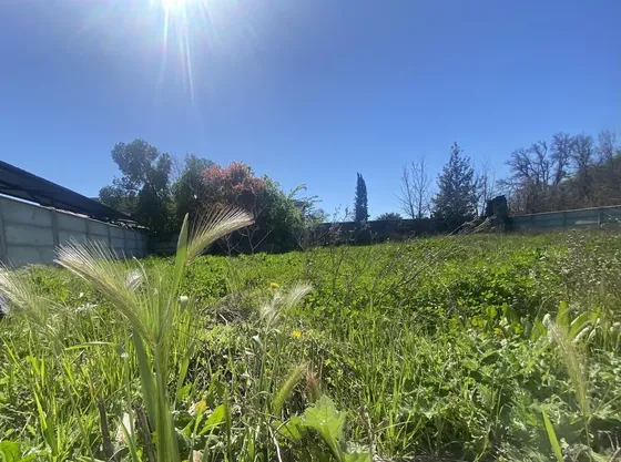 Terreno Centrico