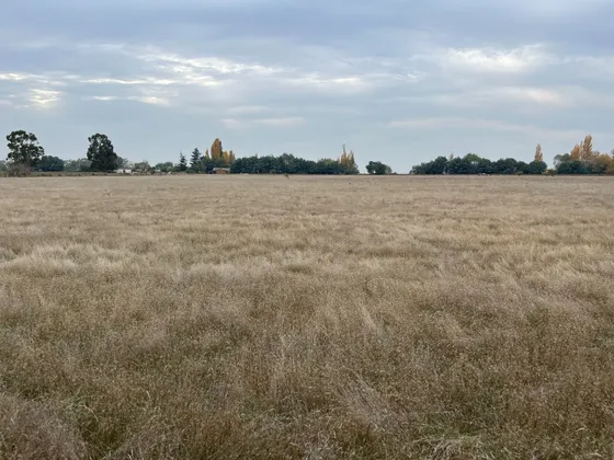 Terreno 10.000 M2 A 5 Km Cruce Retiro Con La Ruta 5 Sur