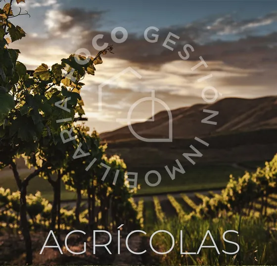 Agrícola En Venta En Buín